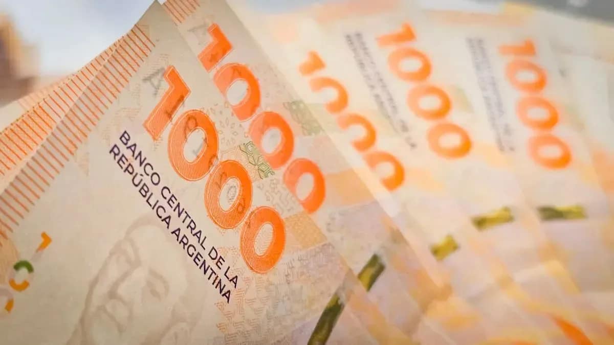 Quiénes pueden pedir el crédito por $32 millones para pagar hasta en cinco años